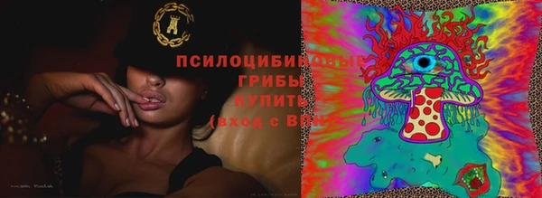 кокаин колумбия Богданович