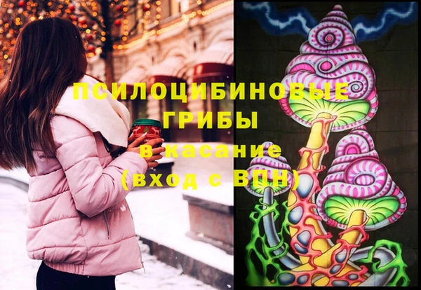 герыч Зерноград