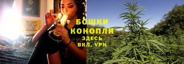 крисы Богородск