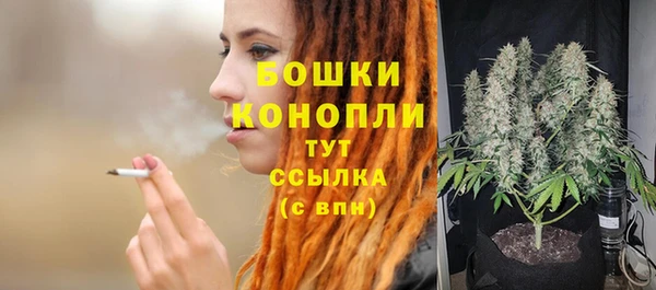 крисы Богородск