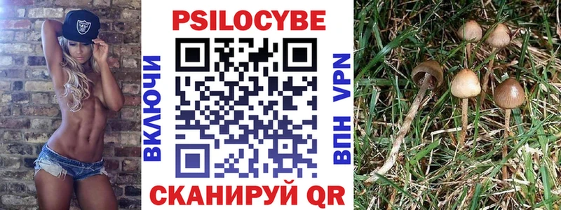 omg ссылки  Котельники  Псилоцибиновые грибы Psilocybe 